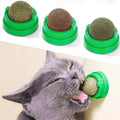 Catnip Balls — Organic Interactive Cat Toy for Play & Enrichment