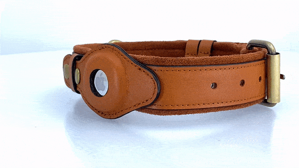 Leather AirTag Dog Collar SBDS WORD