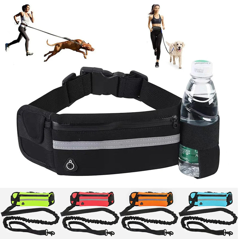 Running With Your Dog Holding a Leash Is Uncomfortable and Dangerous — The Waist Leash Changes This SBDS WORD