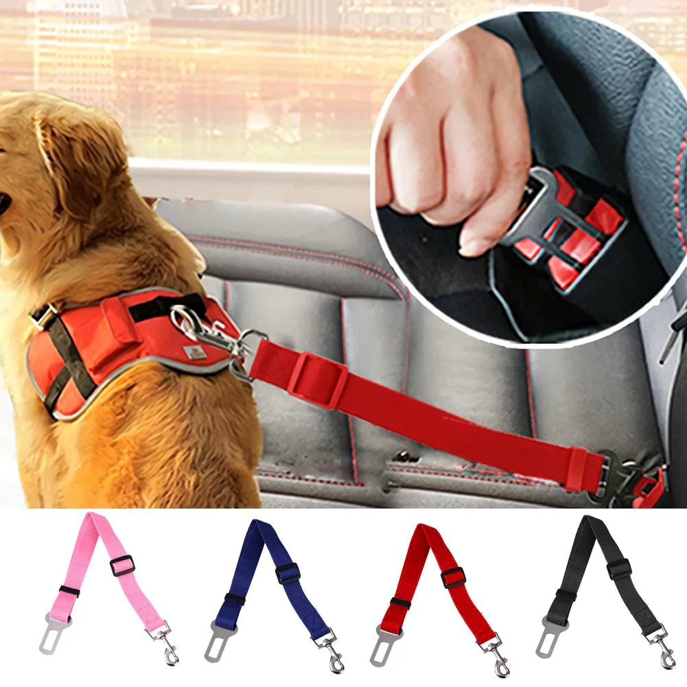 Your Dog Is Unrestrained in the Car. Here's the 5-Second Fix. SBDS WORD