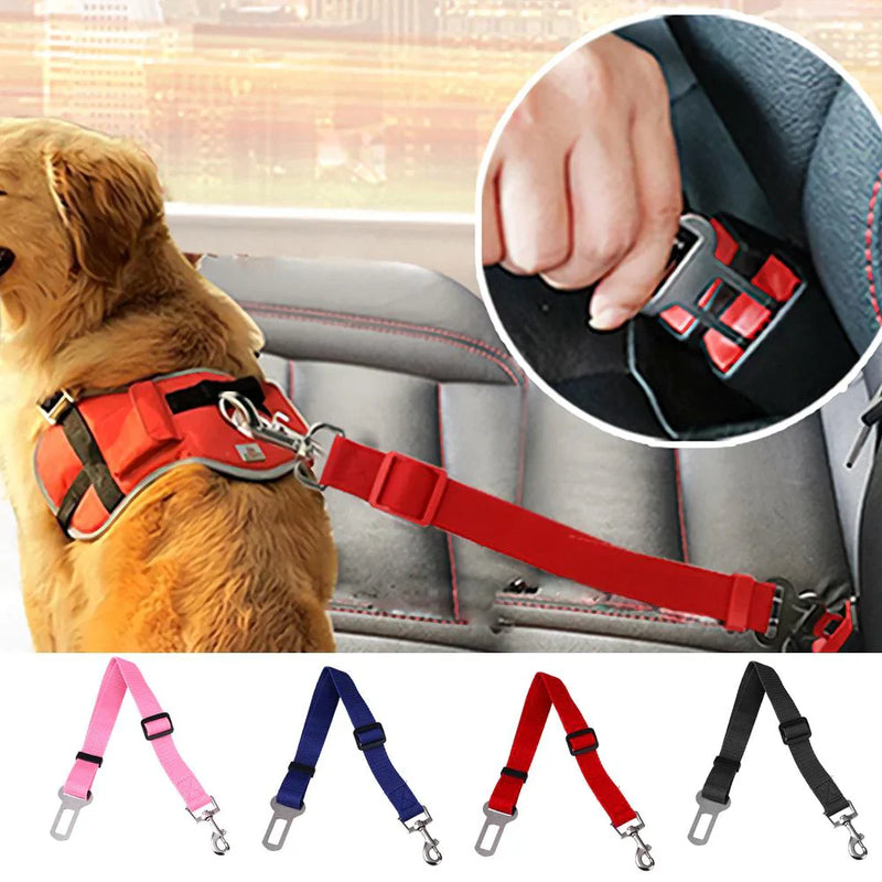 Your Dog Is Unrestrained in the Car. Here's the 5-Second Fix. SBDS WORD