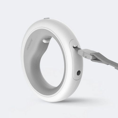Canadian Dog Walks in Winter Dark — The LED Leash Ring That Keeps Both of You Visible SBDS WORD