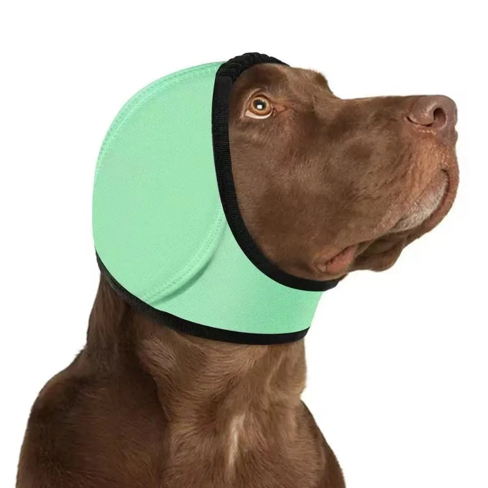 Dog Ear Protection SBDS WORD
