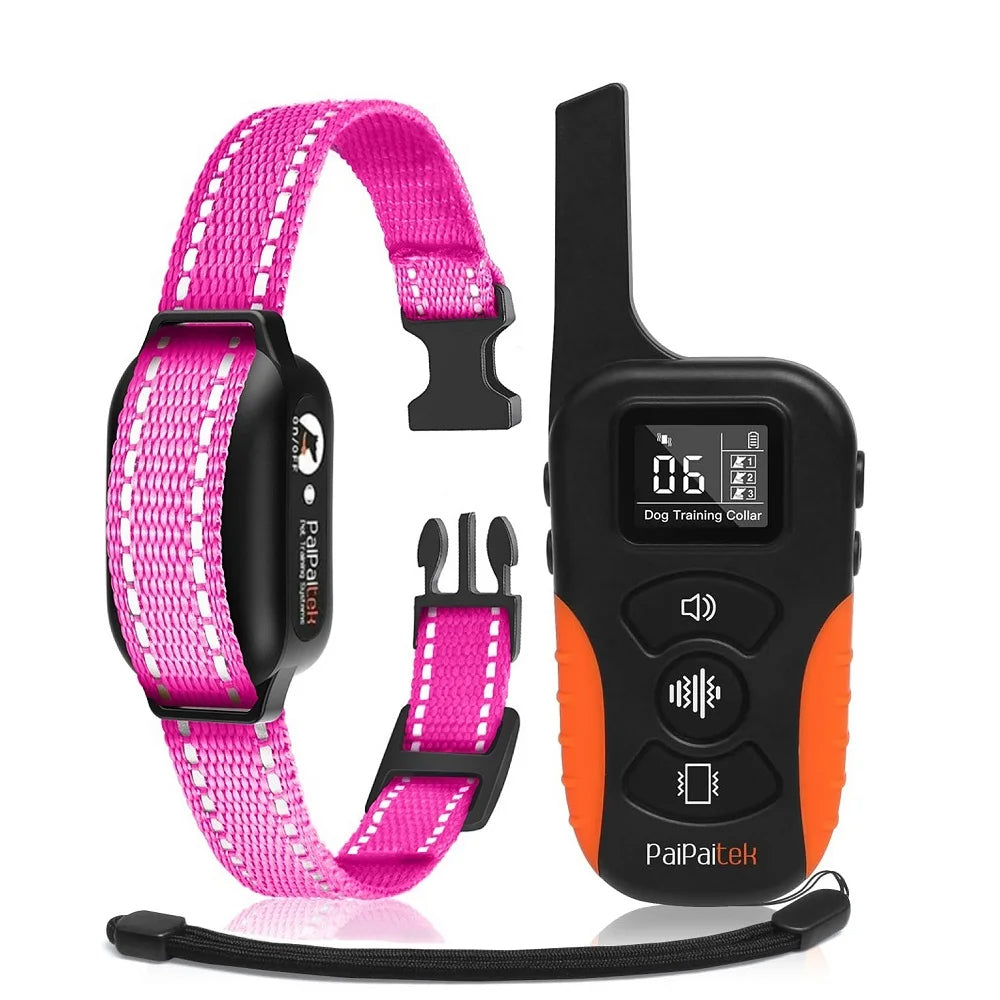 Dog Training Collar SBDS WORD