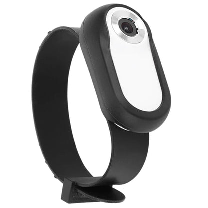 Camera Collar for Cats & Dogs SBDS WORD