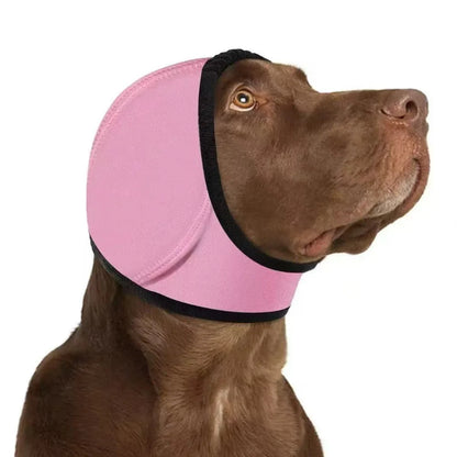 Dog Ear Protection SBDS WORD