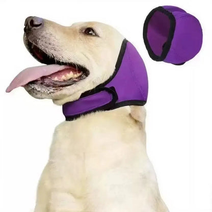 Dog Ear Protection SBDS WORD