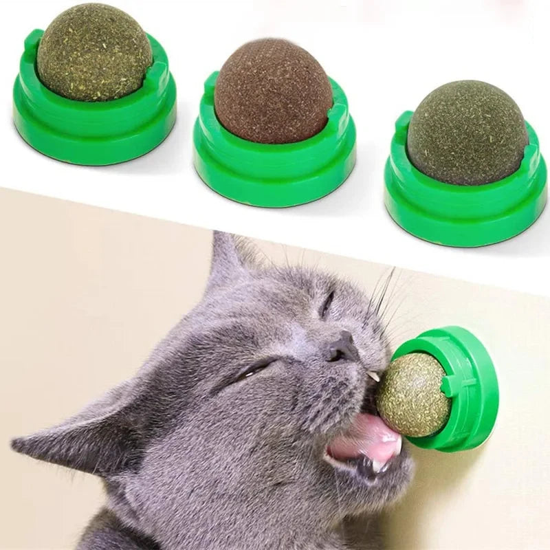 Catnip Balls SBDS WORD