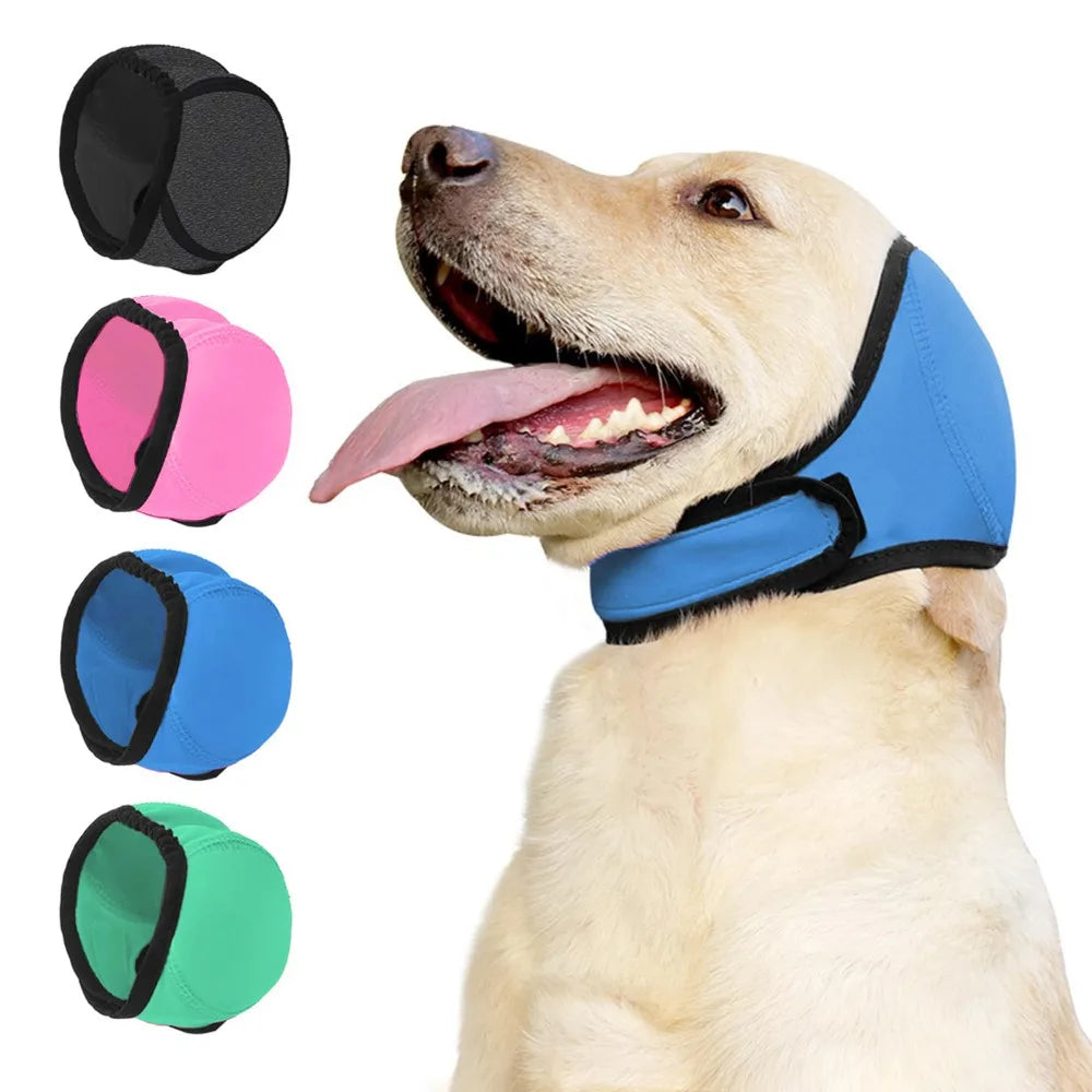Dog Ear Protection SBDS WORD