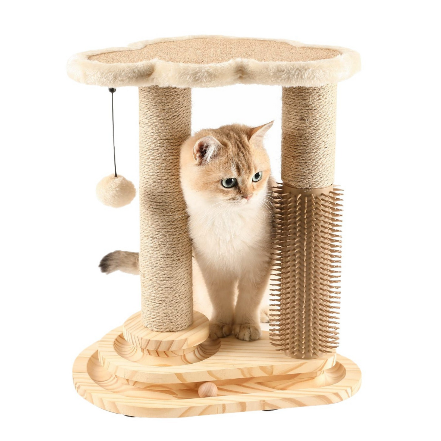 Cat Scratching Post SBDS WORD