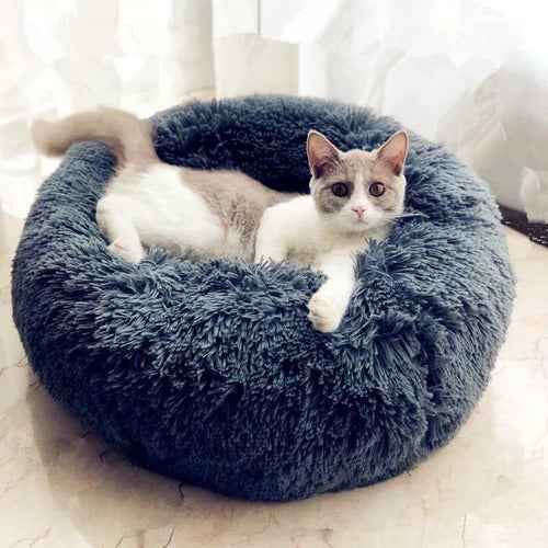 Calming Cat Bed — Plush Donut Cuddler That Reduces Anxiety for Cats and Small Dogs