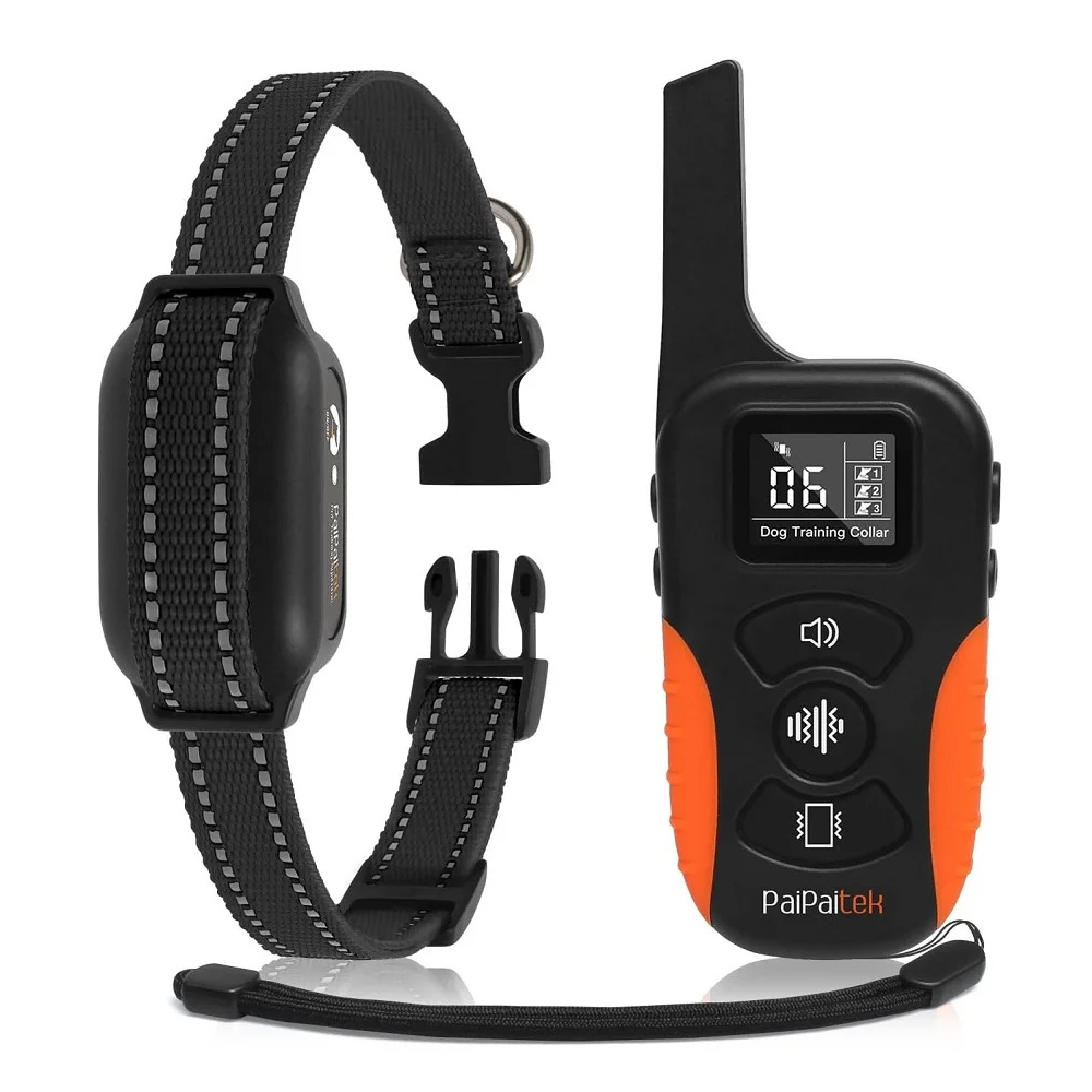 Dog Training Collar SBDS WORD