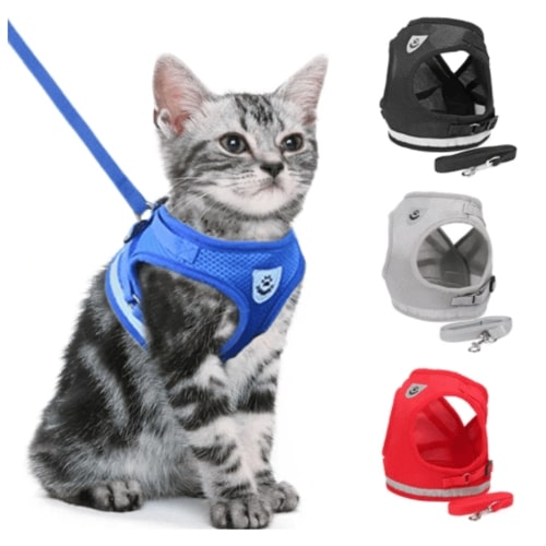 Cat Leash And Harness SBDS WORD