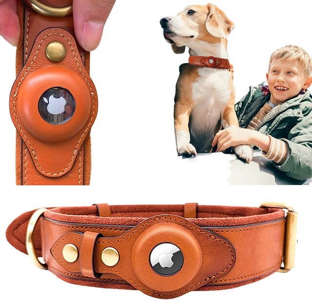 Leather AirTag Dog Collar — Premium Genuine Leather with Built-In AirTag Holder for Dog Tracking