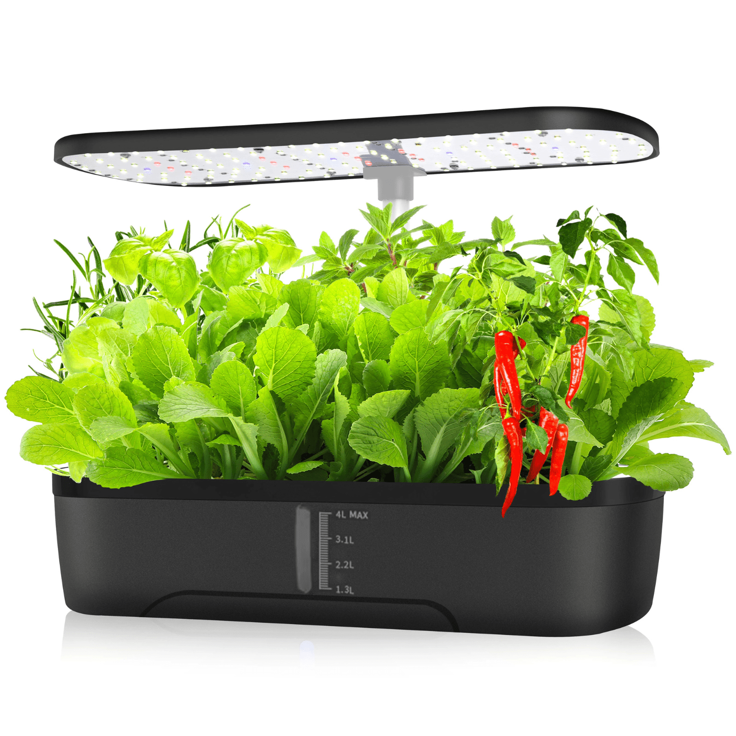12 Pods Hydroponics Growing System SBDS WORD