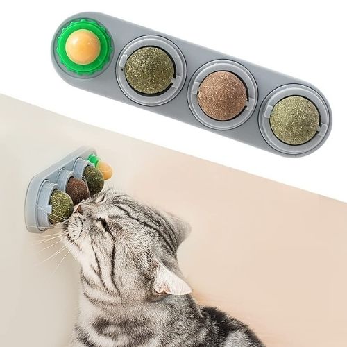 Catnip Wall Ball SBDS WORD