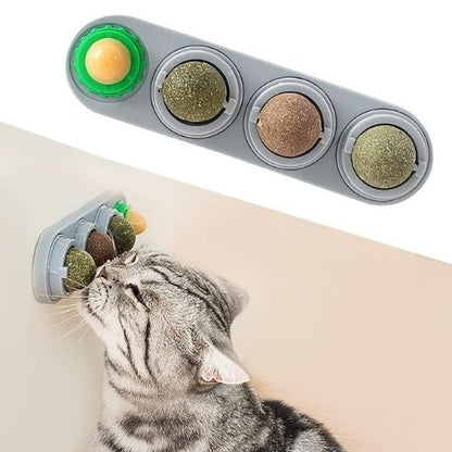 Catnip Wall Ball SBDS WORD
