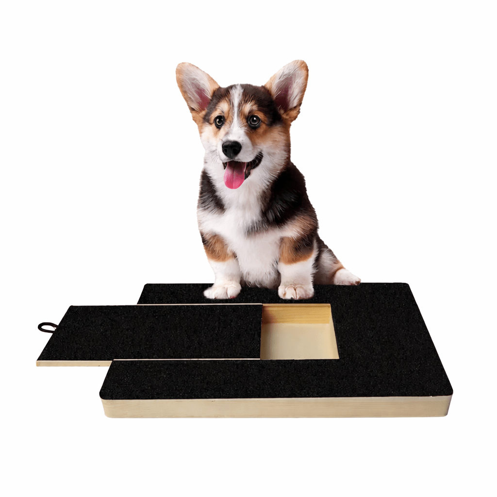 Dog Nail Scratching Board - SBDS WORDTR-10455dog accessoriesdog nail filedog scratching board