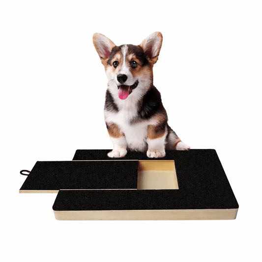 Dog nail scratching board Canada — self-filing nail board letting dogs file their own nails naturally without clippers