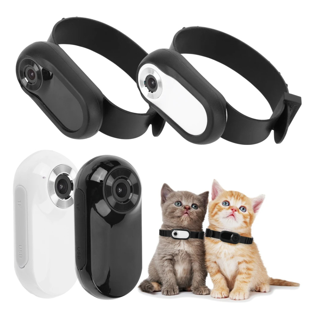 Camera Collar for Cats & Dogs SBDS WORD