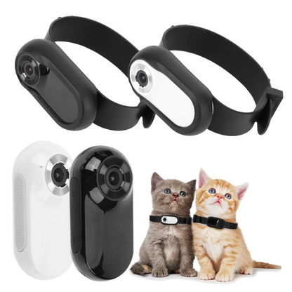 Camera Collar for Cats & Dogs SBDS WORD
