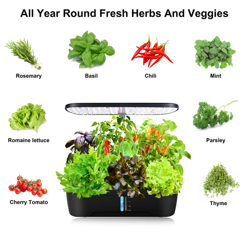 12 Pods Hydroponics Growing System SBDS WORD
