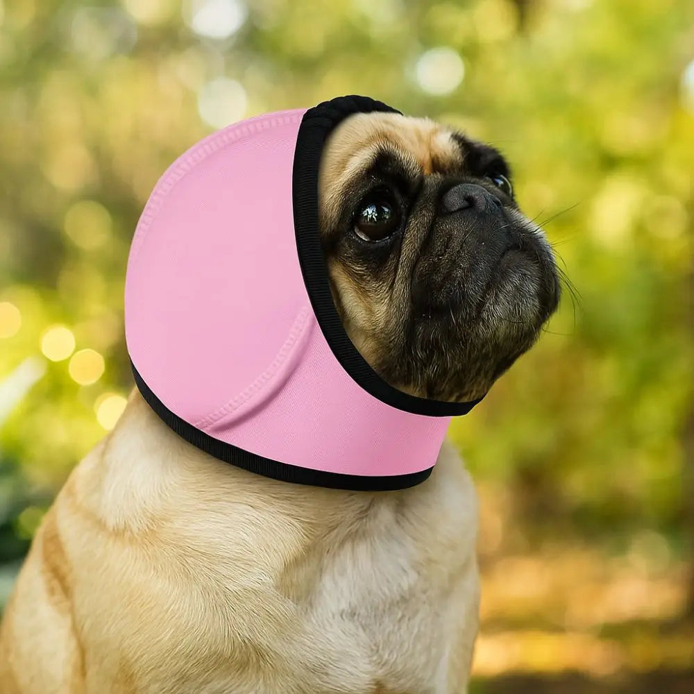 Dog Ear Protection SBDS WORD