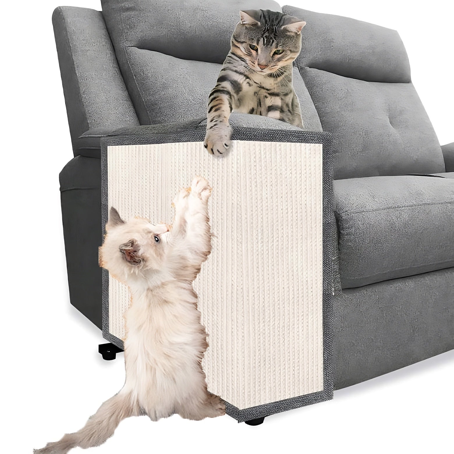 Cat Scratch Sofa Protector SBDS WORD