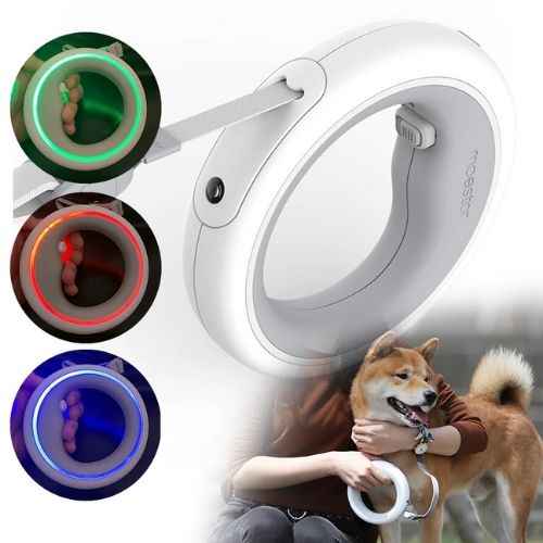 LED Light-Up Dog Leash Ring — Illuminated Safety Leash for Night Dog Walking in Canada