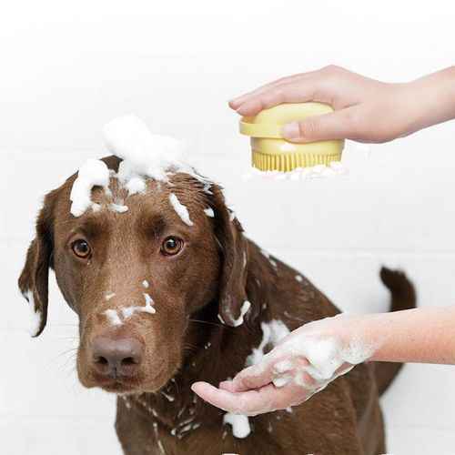 Pet Bath Brush — Silicone Shampoo Dispenser & Massage Brush for Dogs & Cats