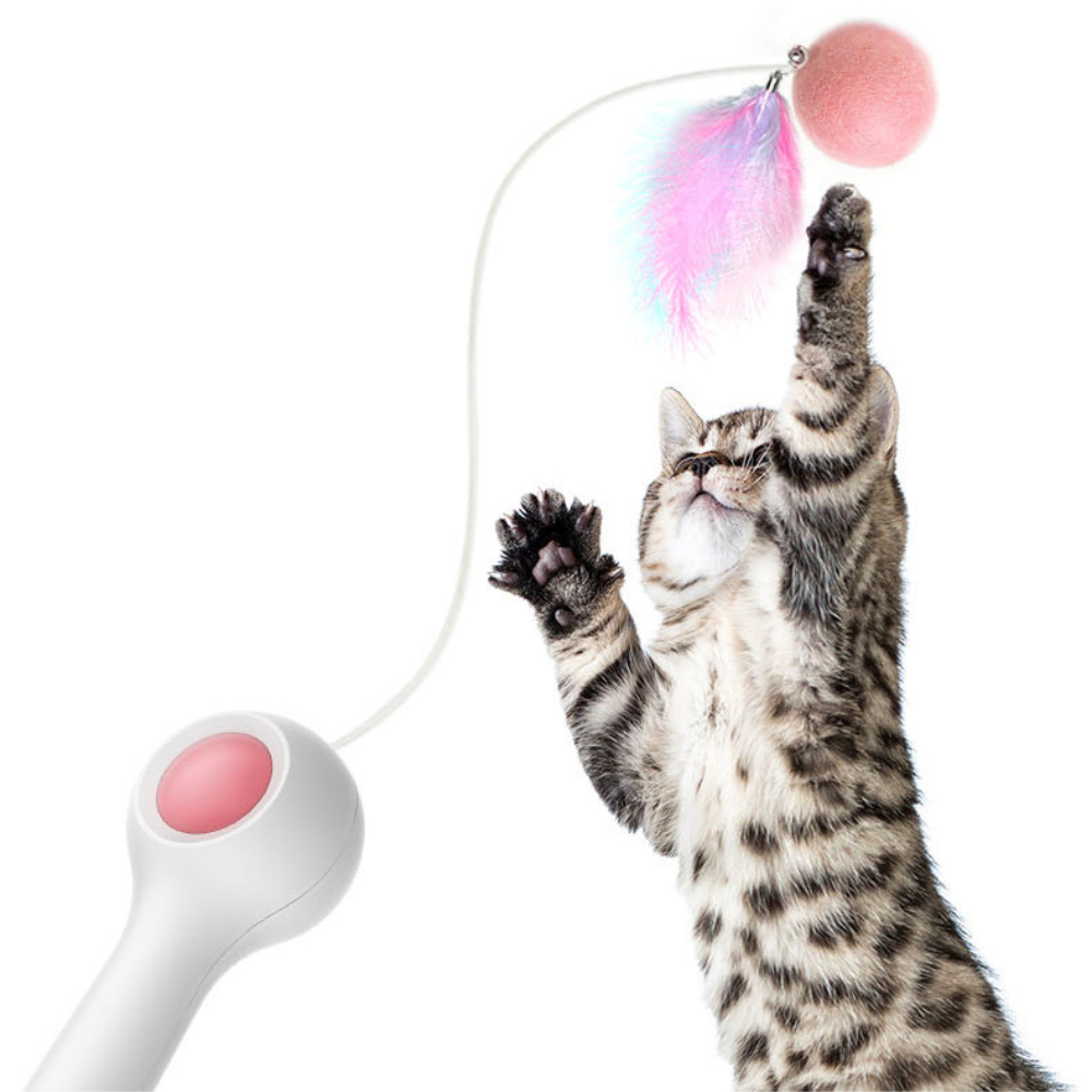 Cat Retractable Stick Feather Toy SBDS WORD