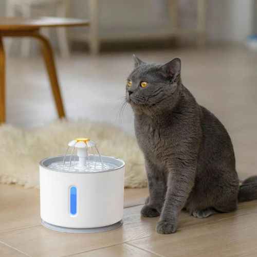 Automatic Cat Water Fountain SBDS WORD