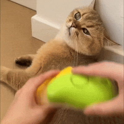 Steamy Brush for Cats SBDS WORD