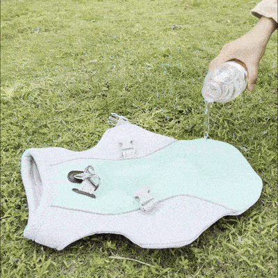 Summer Dog Cooling Vest — Evaporative Cooling Coat for Hot Weather Walks SBDS WORD