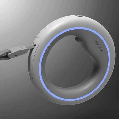 LED Light-Up Dog Leash Ring — Illuminated Safety Leash for Night Dog Walking in Canada