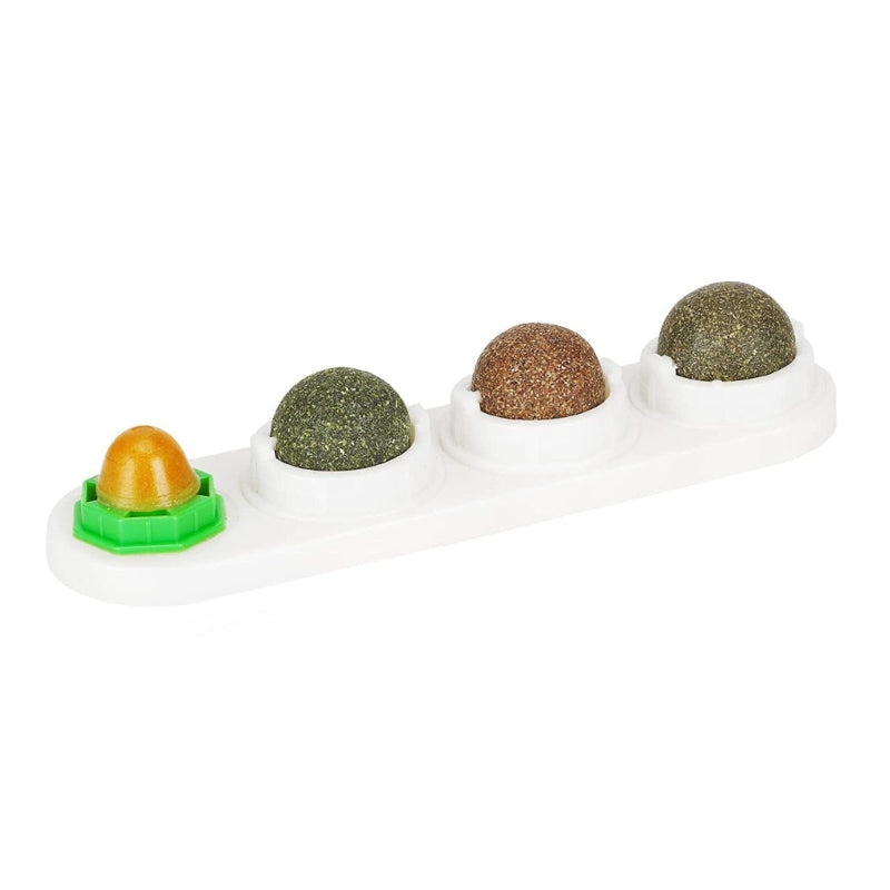 Catnip Wall Ball SBDS WORD