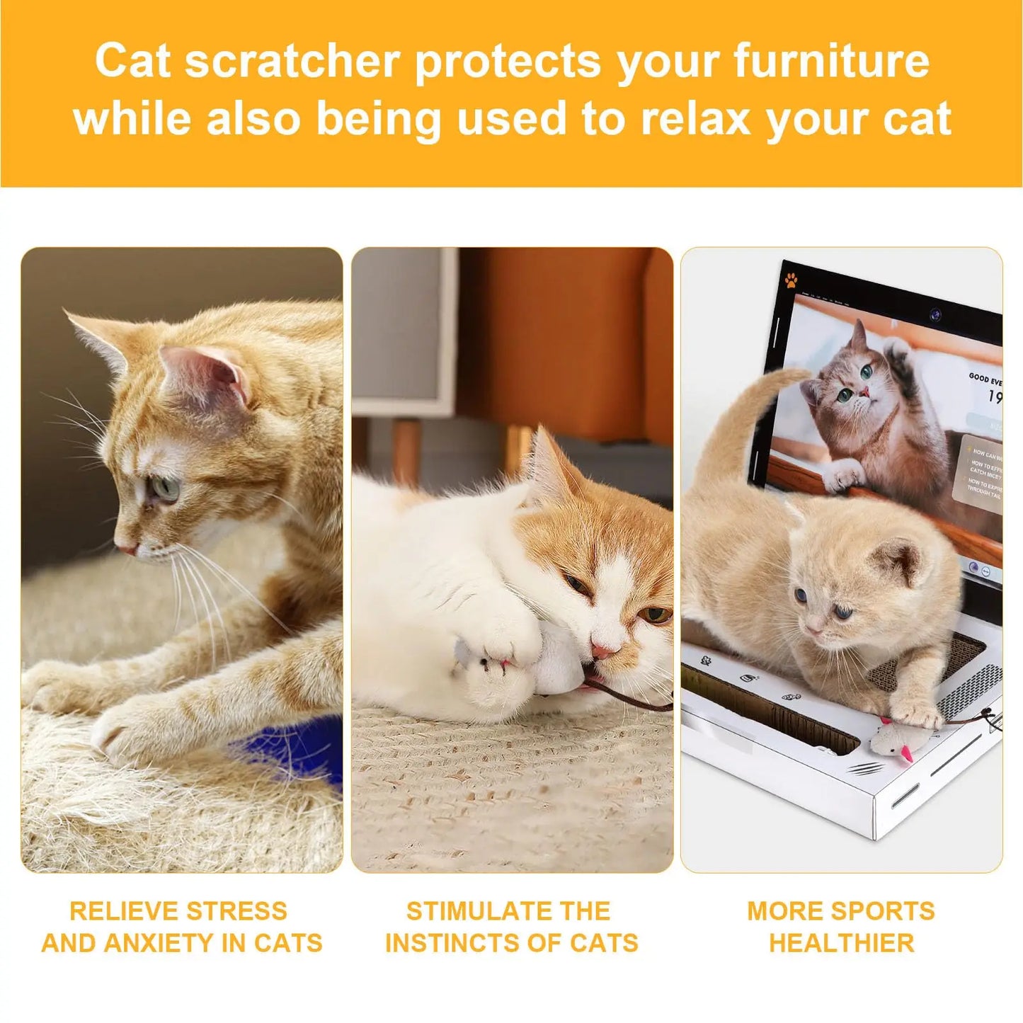 Cat Scratching Board Laptop SBDS WORD