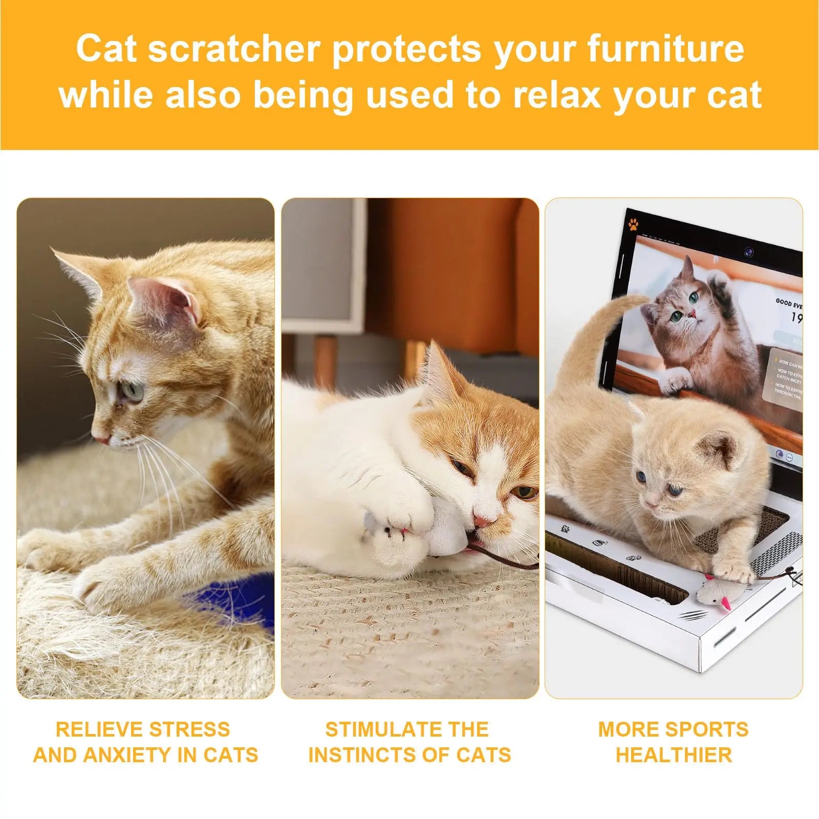 Cat Scratching Board Laptop SBDS WORD