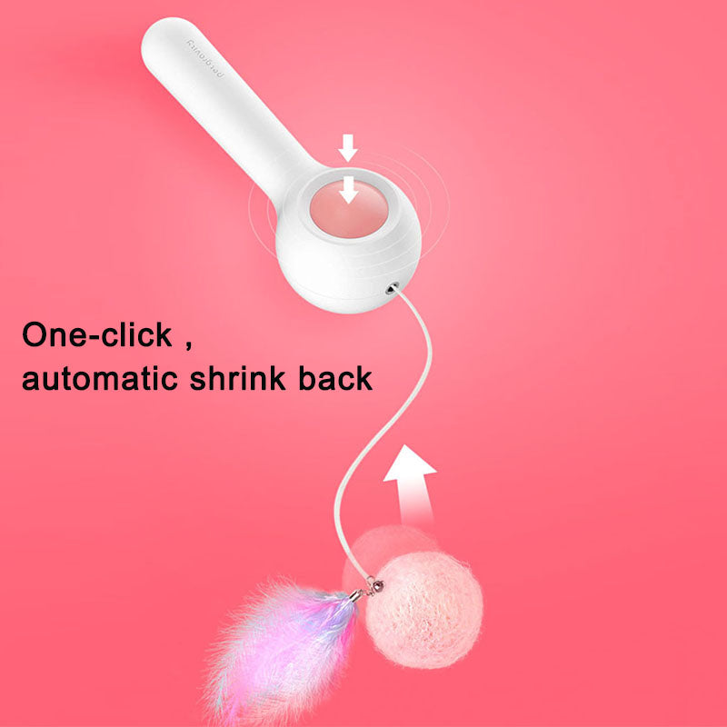 Cat Retractable Stick Feather Toy SBDS WORD
