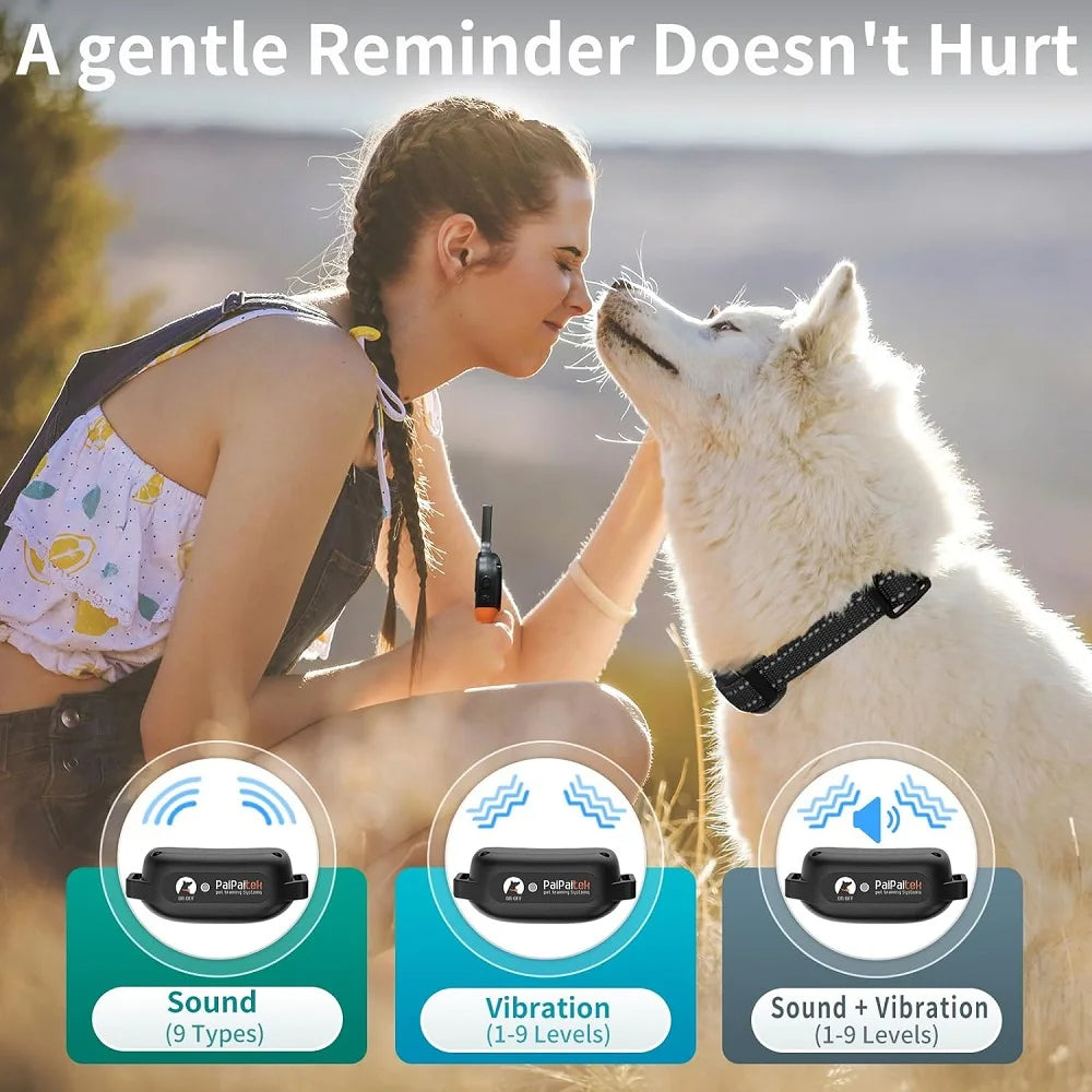 Dog Training Collar SBDS WORD