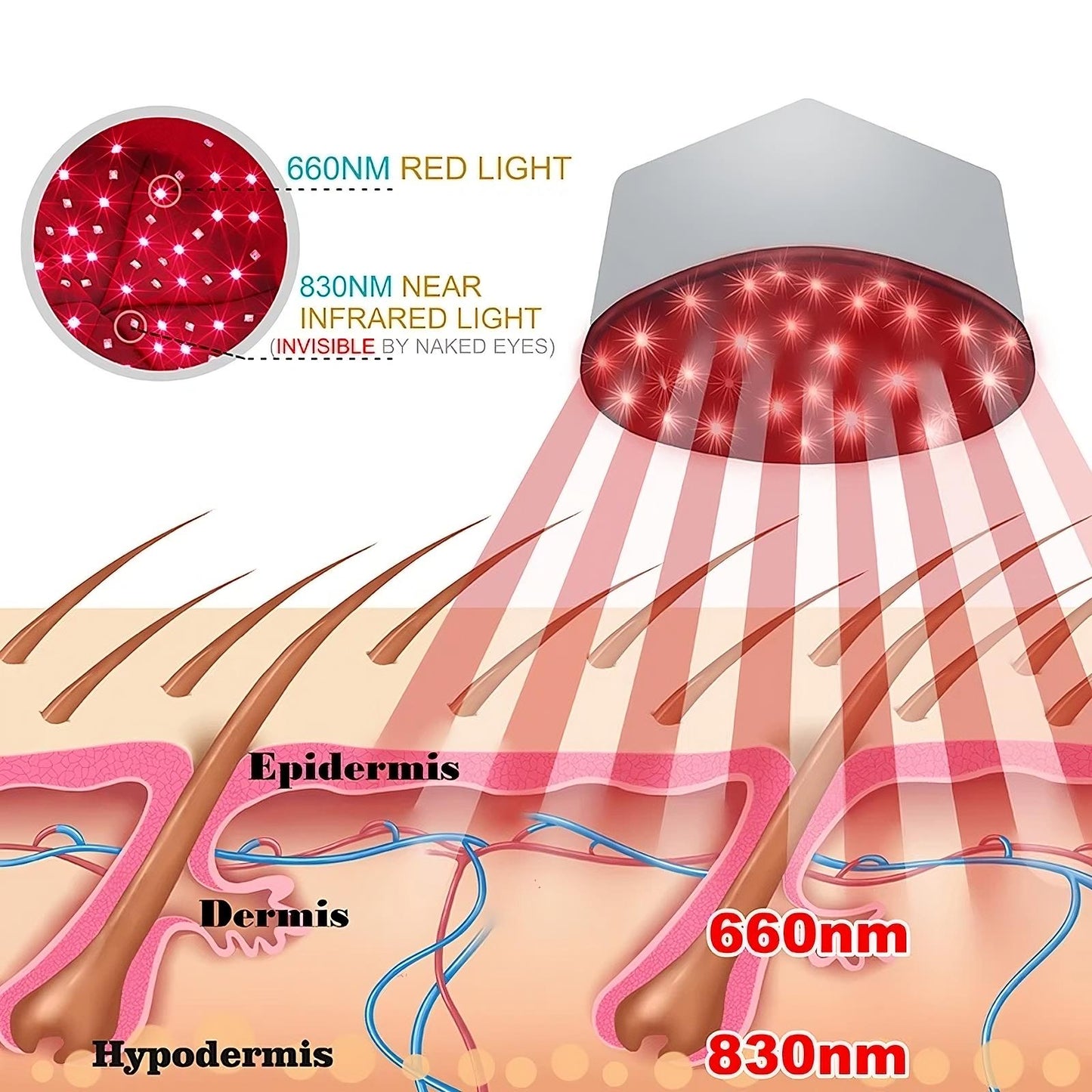 Red Light Therapy Cap SBDS WORD