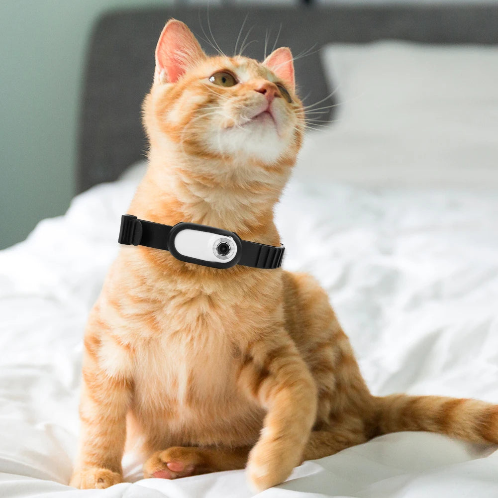 Camera Collar for Cats & Dogs SBDS WORD