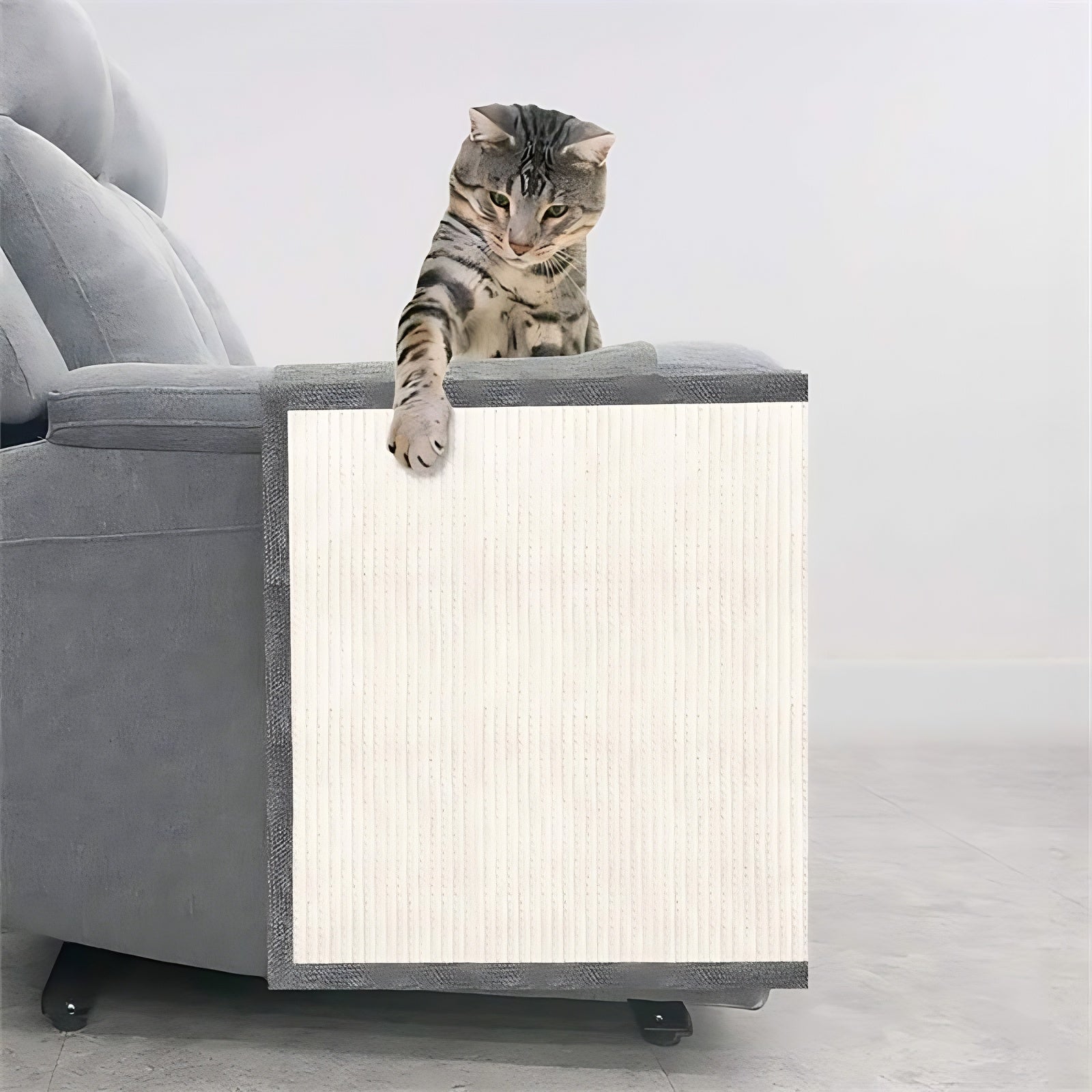 Cat Scratch Sofa Protector SBDS WORD