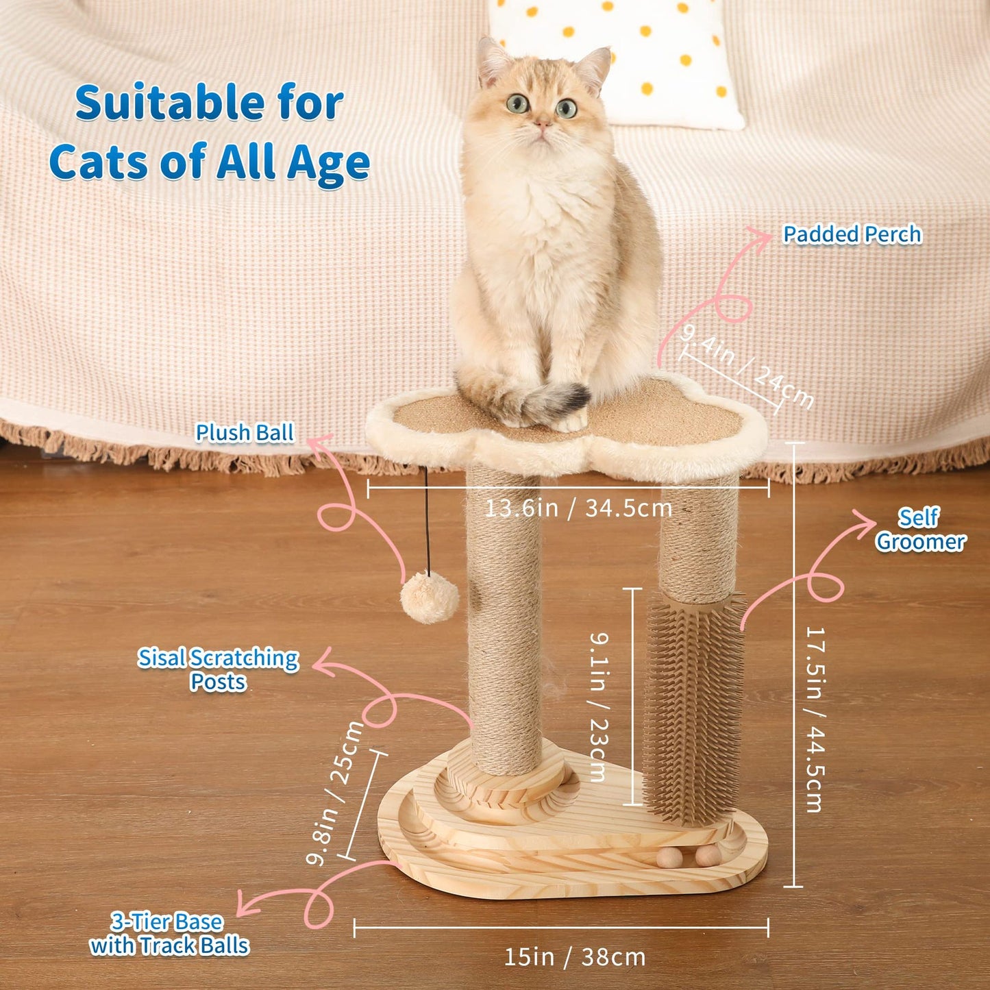 Cat Scratching Post SBDS WORD