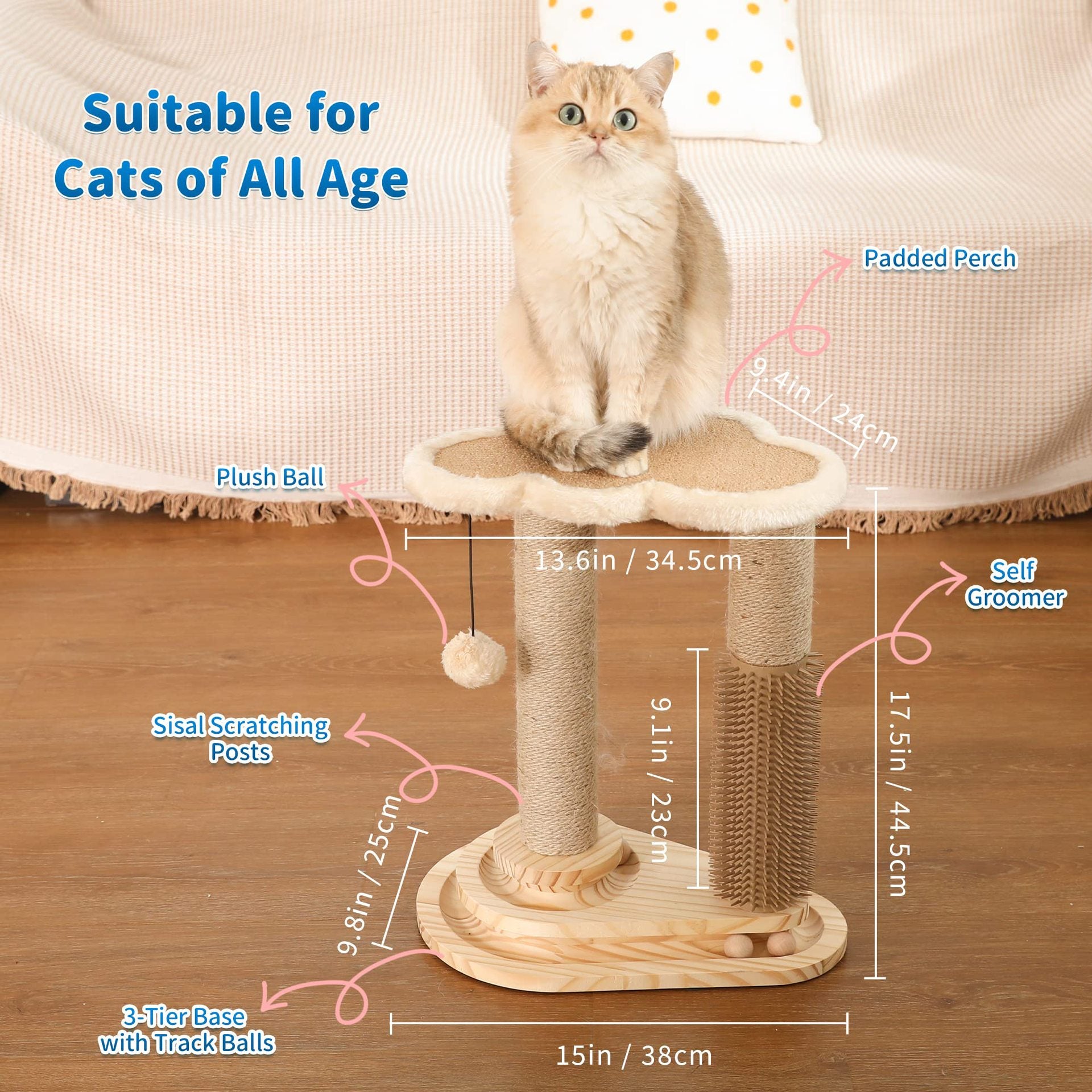 Cat Scratching Post SBDS WORD