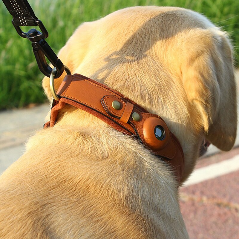 Leather AirTag Dog Collar SBDS WORD