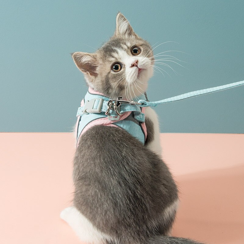 Cat Vest Harness Leash Set SBDS WORD