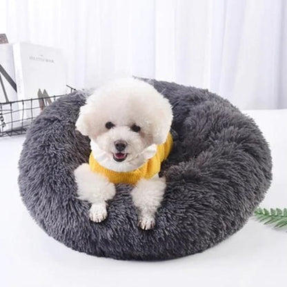 Cat Bed SBDS WORD