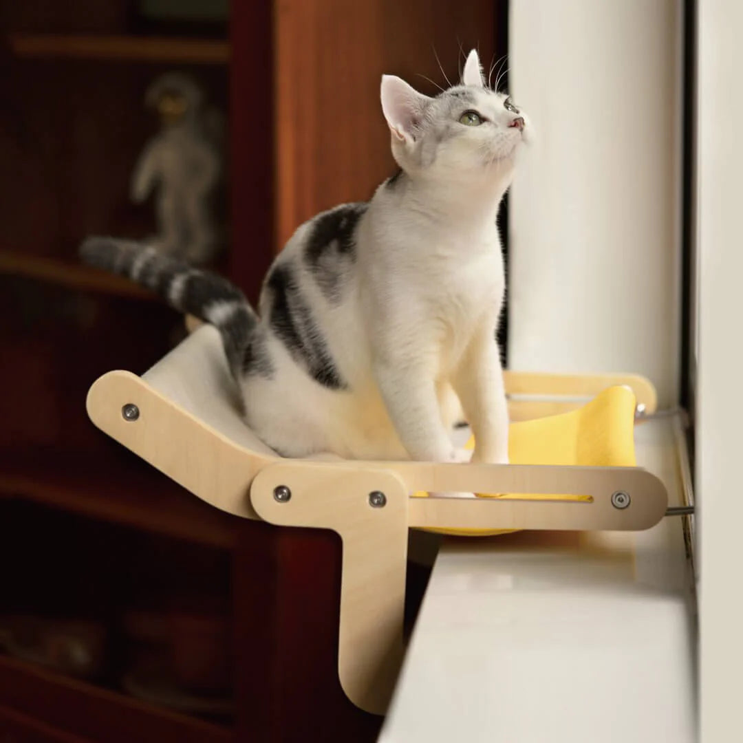 Sturdy Hanging Cat Bed SBDS WORD