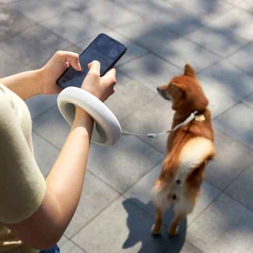 LED Light-Up Dog Leash Ring — Illuminated Safety Leash for Night Dog Walking in Canada